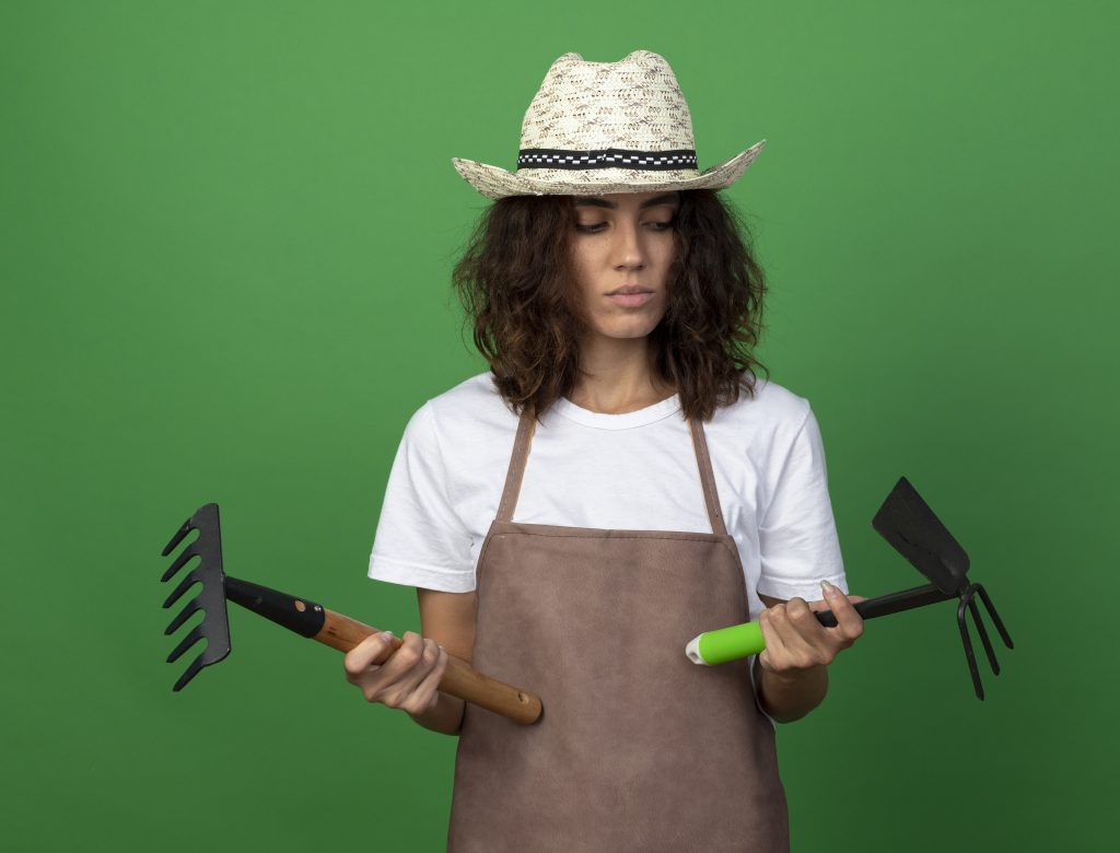 Problemas frecuentes en el cultivo de huertos urbanos y soluciones
