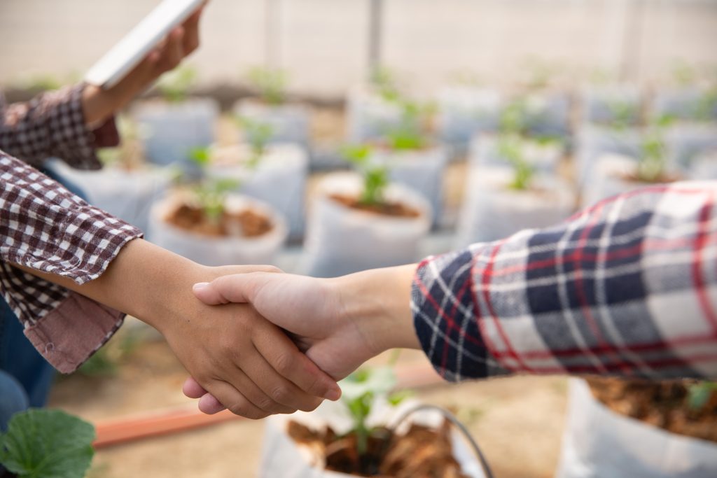 Quiero alquilar un terreno para huerto: ¿Cuál elegir?