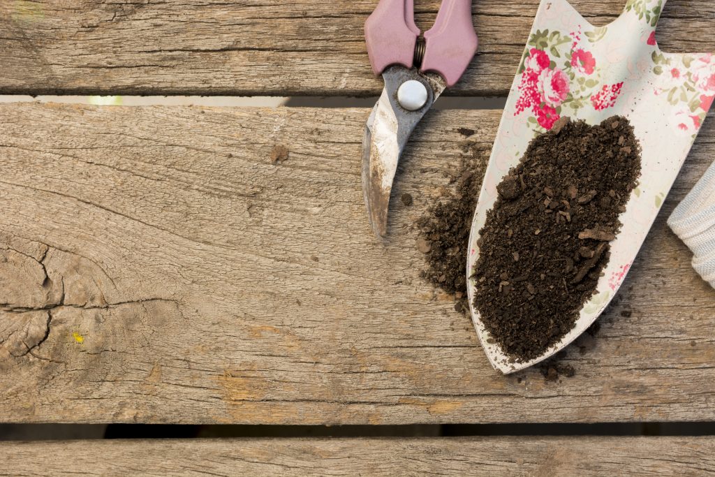 diferentes tipos de sustratos de cultivo